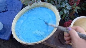 Как приготовить бордоскую смесь. Обработка голубики.