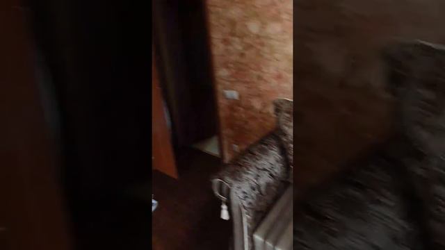 Квартира в Геленджике.