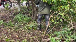 Cut the Lawn and Clean the whole Garden and House | Clean up the abandoned house