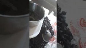 натуральное МАСЛО Черного Тмина  +79993427633