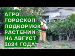 Агрогороскоп подкормок растений в августе 2024 Agrohoroscope of plant feeding in August 2024