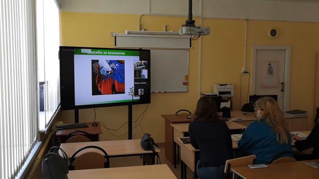 Человек и животные VI Форум в Гимназии №36 г Иваново смотреть онлайн