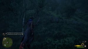 Hogwarts Legacy испытание Мерлина шарики