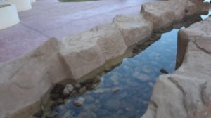 Coral Hills Resort Marsa Alam отель