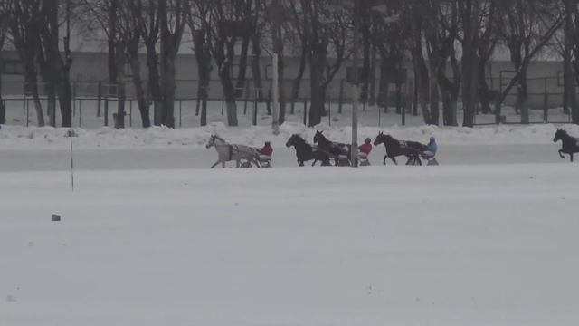 Московский ипподром. Бега. 13.01.13. Заезд 7 (20). смотреть онлайн