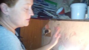 Как вывести цыплят из коробки