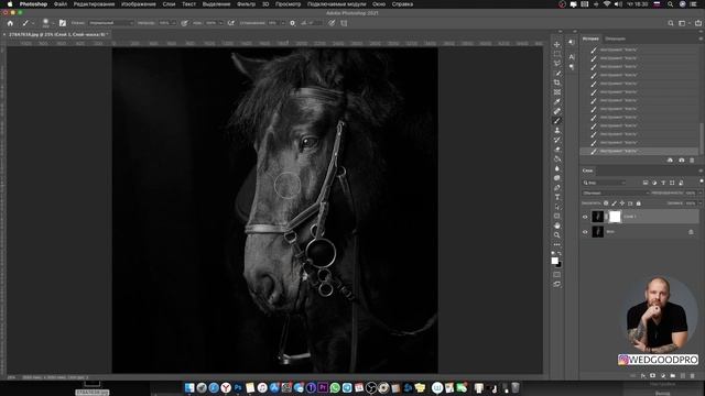 Фотошоп для начинающих. Не работает кисть смотреть онлайн