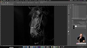 Фотошоп для начинающих. Не работает кисть