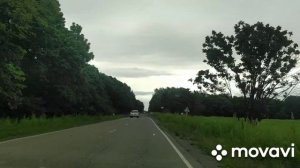 Флаг СССР в Партизанске .Нищета Приморского края .Пустые поля .Выжить на грибах.