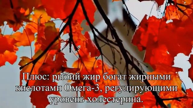 Как скинуть 5 кг Легко! — Статья смотреть онлайн