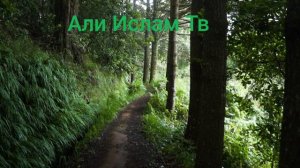 сура 20 аят 25:28 Та Ха #Аллаh#сунна#коран#аят#дуа#мольба#ислам#иман