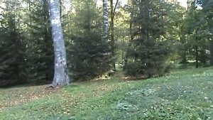 санаторий "Северная Ривьера" - часть 1.mpg
