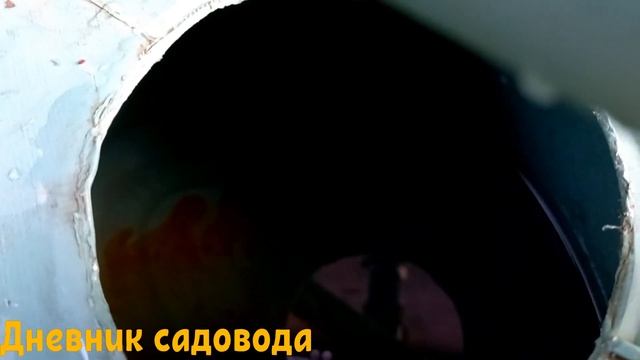 ПОСЛЕ ЭТОЙ ПОДКОРМКИ УРОЖАЙ ВАШИХ ТОМАТОВ СТАНЕТ БОЛЬШЕ! Подкормка помидоров борной кислотой