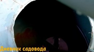 ПОСЛЕ ЭТОЙ ПОДКОРМКИ УРОЖАЙ ВАШИХ ТОМАТОВ СТАНЕТ БОЛЬШЕ! Подкормка помидоров борной кислотой