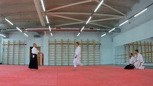 Показательные выступления, Геннадий Банных 4 дан Айкидо Айкикай