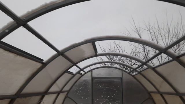 Выращивание ранней зелени в неотапливаемой теплице. Сезон открывают холодостойкие культуры