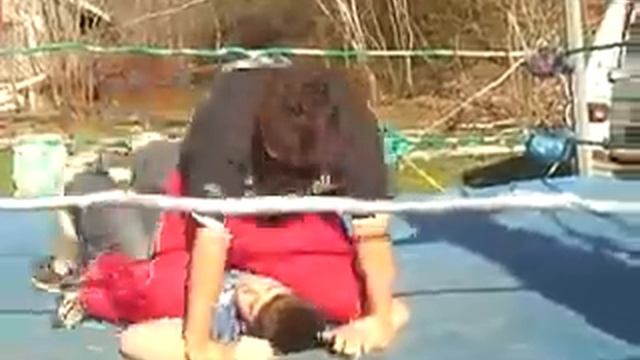 Wildfire vs Johnny Dynamite 2 смотреть онлайн