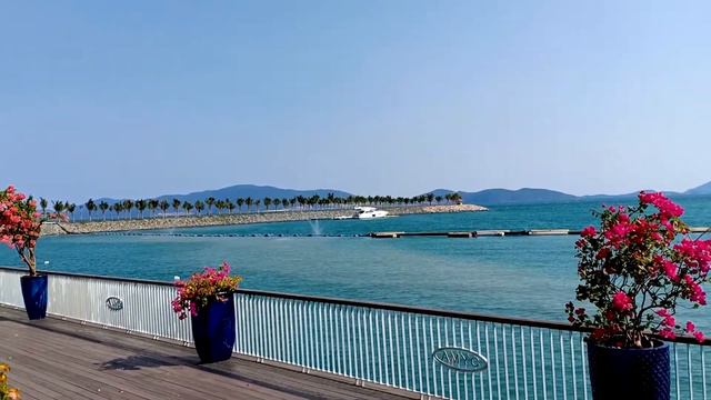 [VLOG] НАШИ ПОКУПКИ И ГИГАНТСКИЕ НАСЕКОМЫЕ (03.03.2019) смотреть онлайн