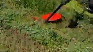 Косим сено мотоблоком зубр из роторной косилкой на сегментах