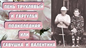 Пень трухлявый и Гаргулья подколодная, или Савушка и Валентина. Забавный рассказ Светланы Волковой.