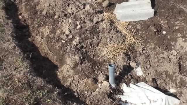 Виноград в теплице и на улице 02 05 2014 смотреть онлайн