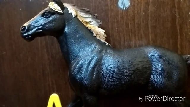 Обзор КСК " Black horse " (часть 2) смотреть онлайн