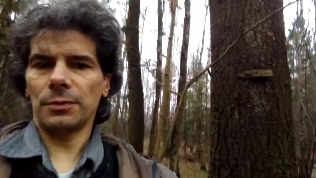 Портал в другое измерение