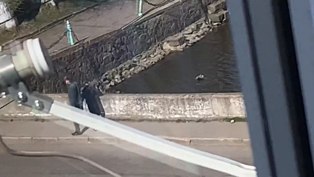 Вышел на балкон, наблюдаю за движением птиц? видеонаблюдение?? птиц по небу??⛅️??????? смотреть онлайн