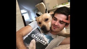 ЛАБРАДОР И ХОЗЯИН РАЗГОВАРИВАЮТ | жизнь лабрадора