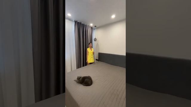 Обзор квартиры 2+ ЖК "Европейский берег". Рубрика "ИзиДома" выпуск 2 смотреть онлайн