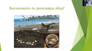 Всё о яйцах динозавров