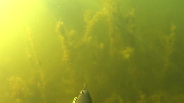 Чёрная щука смотреть онлайн