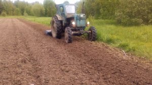 Разработка целины фрезой на тракторе т-40ам