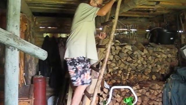 Очередной птенец выпал из гнезда. смотреть онлайн