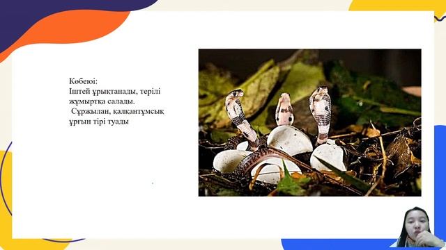 Прямая трансляция пользователя Гүлбану Сейткамалова смотреть онлайн