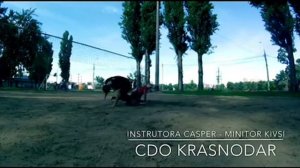 Capoeira Cdo Russia