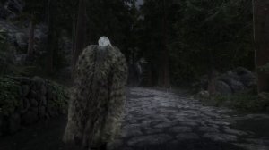 Skyrim Anniversary Edition 4K ? Моддинг графика следующего поколения и лучшая сборка Skyrim AE 2022