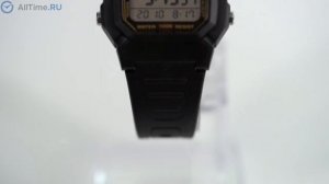 Обзор часов Casio Collection W-800HG-9A. Японские наручные часы. Alltime