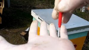 Установка дженторского сота.