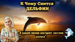 К чему снится ДЕЛЬФИН или видеть во сне ДЕЛЬФИНА | Толкование снов | Сонник Sk1.online