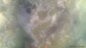 На дне моря