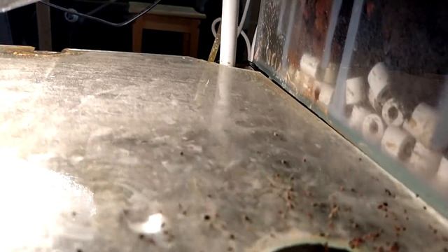 Фильтрация воды в аквариуме. Самп в стойках с аквариумами на 100 и 150 литров. смотреть онлайн