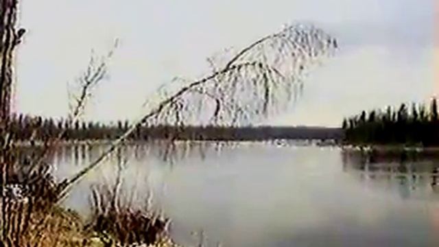 1992 г. Вилюйский экспериментальный рыбоводный завод (ВЭРЗ). Сходнов Николай Альбертович.