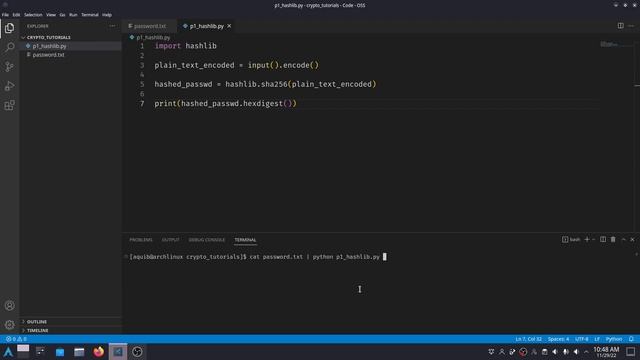 Hashing in Python using Hashlib and BCrypt | Hindi