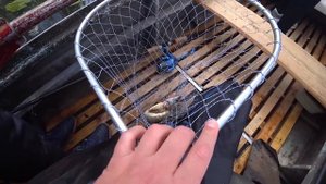 ПИКНИК НА ОСТРОВЕ В ЛЕСУ?