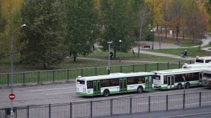 Canon 80D + объектив Canon ef 75-300mm f/4-5.6 iii (объектив выдвинут на минимум)