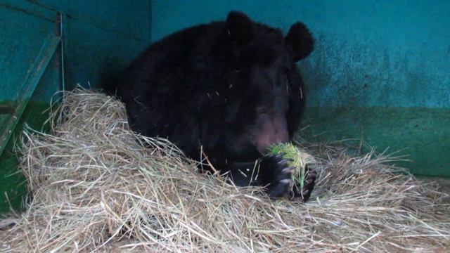Новенькая смотреть онлайн