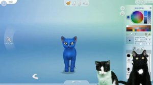 Adopta trillizos de gato en los SIMS 4 con gatos Luna y Estrella CAP 13 Adopción / Videos de gatito