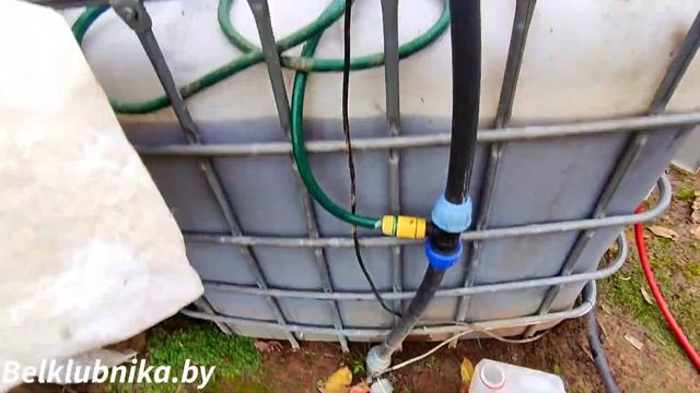 Подкормка перед зимой. Клубника, голубика, малина, ежевика, жимолость. Belklubnika.by смотреть онлайн