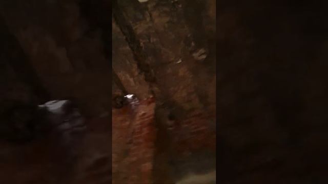 Усадьба Абрикосова (Москва) смотреть онлайн